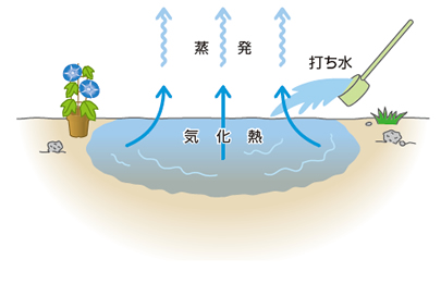 水の力で涼風換気 打ち水効果