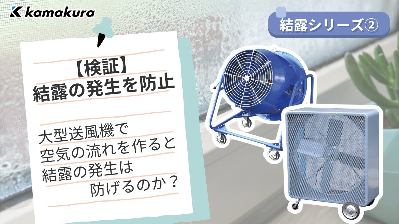 動画のサムネイル