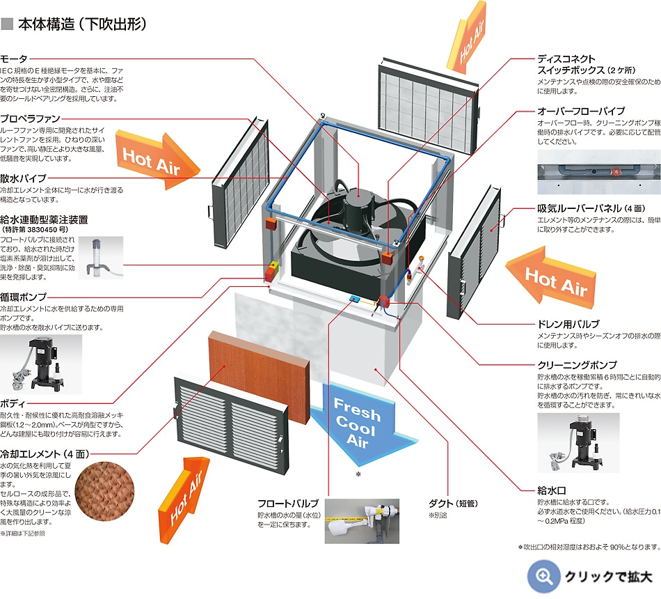 本体構造