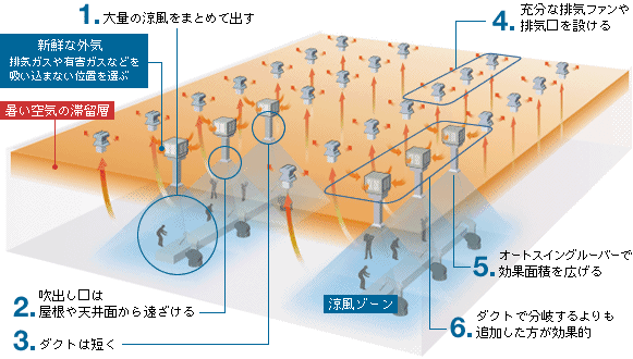 効果的な併用のポイント